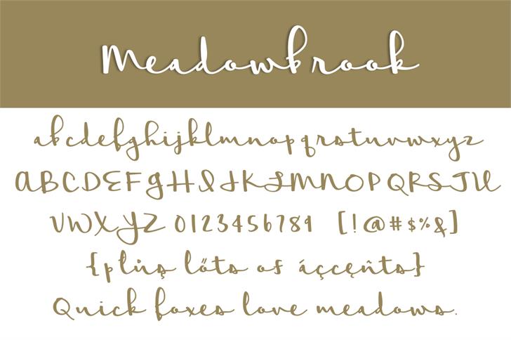 Meadowbrook-fuente-1