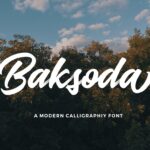 Baksoda Script  Free