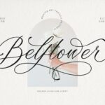 Belflower