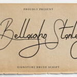 Bellaigho Stanley Signature