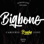 Bigbone   Free Download