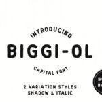 Biggi Ol Display