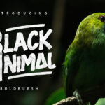 Black Animal