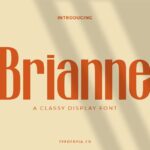 Brianne Classy Display