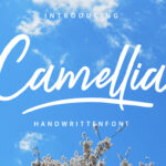 Camellia Script  Free