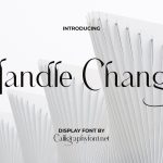 Handle Change