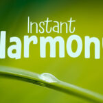 Instant Harmony