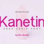 Kanetin Beautiful Sans Serif