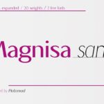 Magnisa Sans