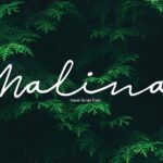 Malina Script