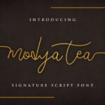 Modya Tea Signature