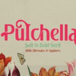 Pulchella Soft & Bold Sans
