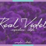 Real Violet Handwritten