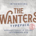 The Wanters Serif Display